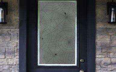 SX-SC225 Frosted Spider Webs