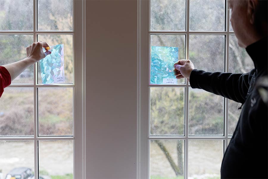 Customers holding Decorative Films samples against a window