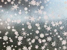SX-SC220 White Snowflakes